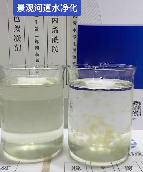 景观河道水净化